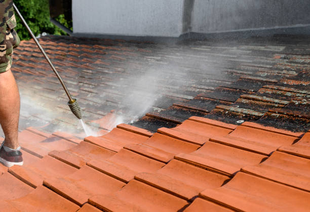 Best House Pressure Washing  in Cheval, FL
