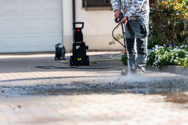 Best Pressure Washing Company Near Me  in Cheval, FL