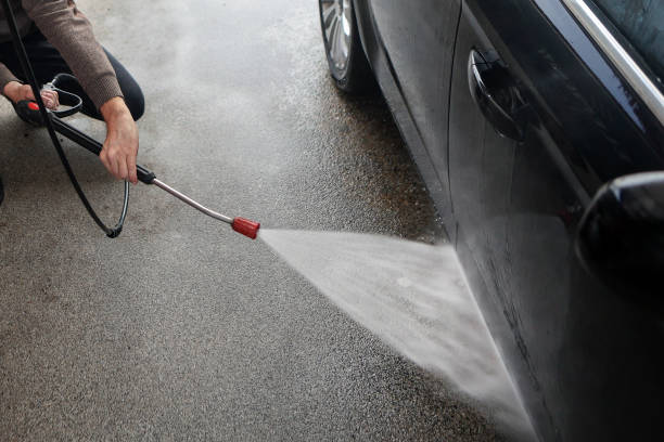 Best Roof Pressure Washing  in Cheval, FL