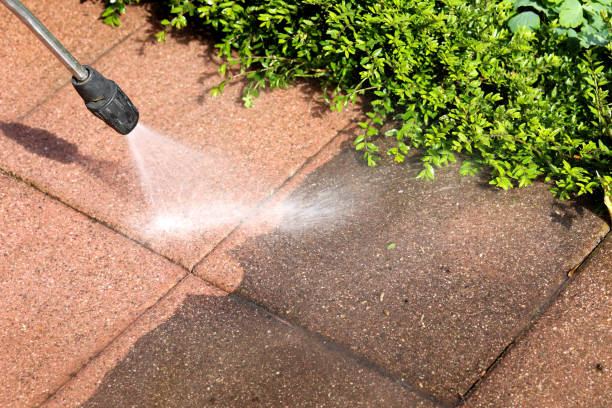 Best Commercial Building Pressure Washing  in Cheval, FL